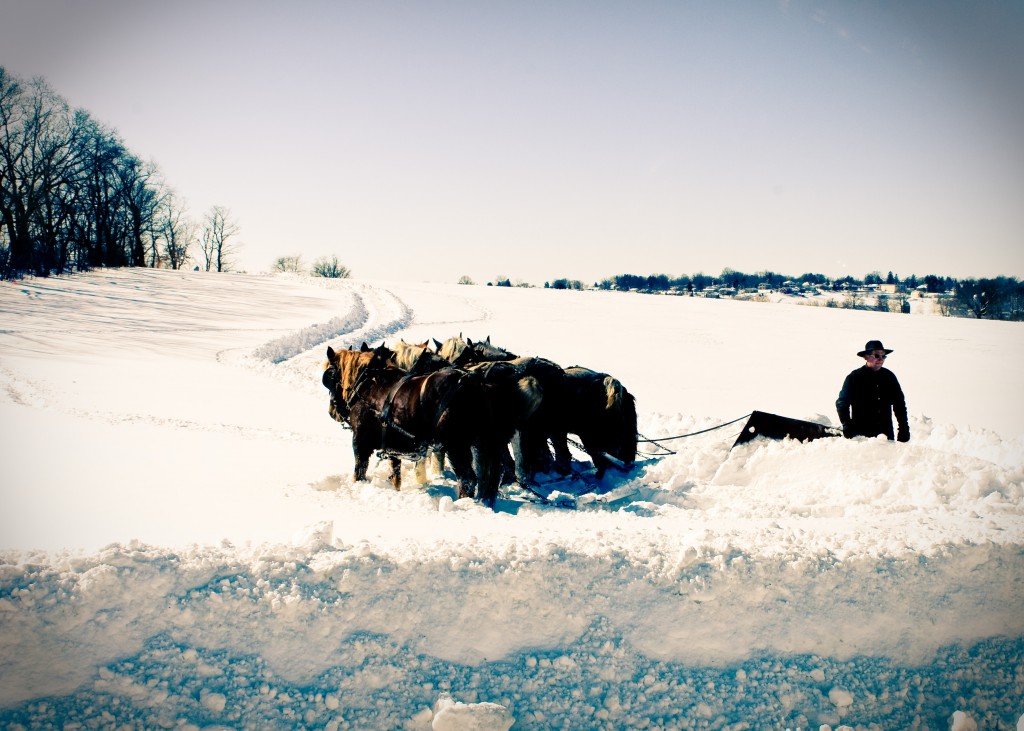 Blizzard of 2010 Jeremy Bischoff Photography