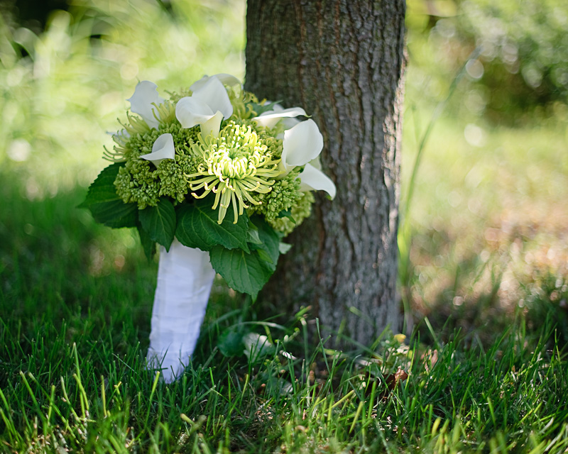 James and Katrina Foxchase Golf Club Stevens PA by Jeremy Bischoff Photography Lancaster PA Wedding Photographer