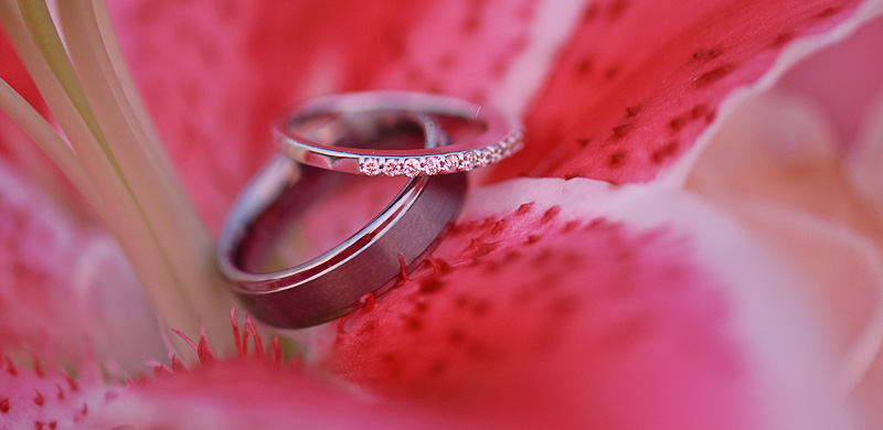 Tyler and Erin Foxchase Golf Club Stevens PA by Jeremy Bischoff Photography Lancaster PA Wedding Photographer